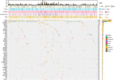 Treatment Patterns and Survival of Patients With Advanced Non-Small Cell Lung Cancer Guided by Comprehensive Genomic Profiling: Real-World Single-Institute Study in China